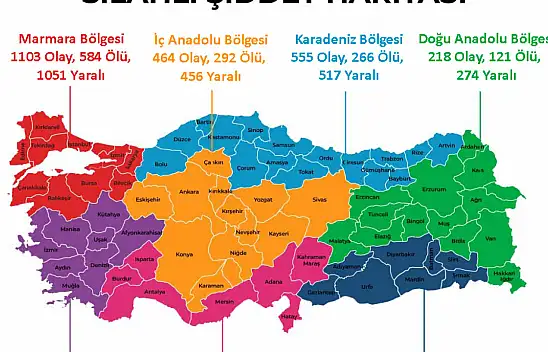 Umut Vakfı il il açıkladı! İşte Kayseri'nin şiddet haritası, rakamlar korkutucu