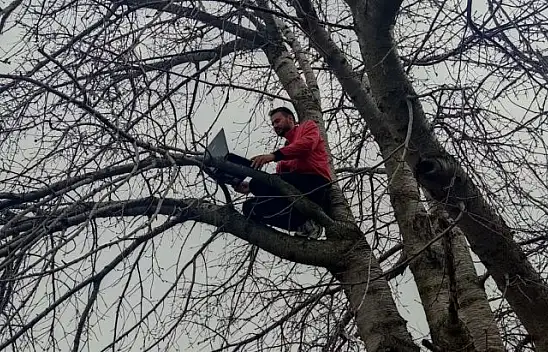 Yıl olmuş 2022! Yer Hacılar, Sakarçiftliği! Samanda, ağaçta bir çile hikayesi!