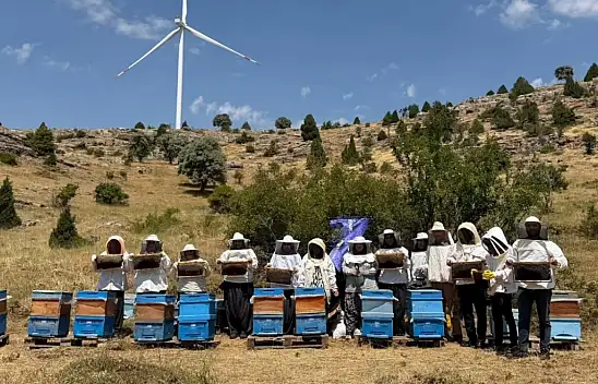 Yahyalı'da kadın üreticiler başardı! İlk hasat yapıldı