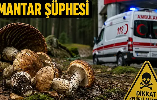 Yahyalı'da mantar zehirlenmesi şüphesi: 3 kişi hastaneye kaldırıldı