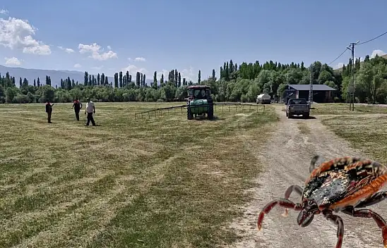 Yaz aylarının korkulu rüyası! Kayseri'de ekipler sahada