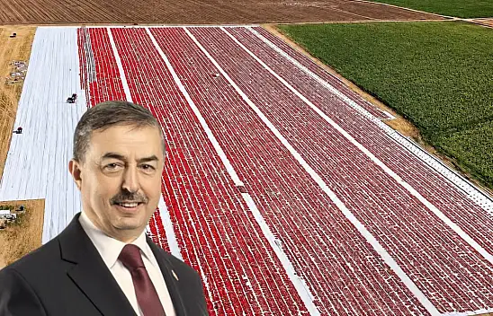 Yeşilhisar'ın kurutulmuş domates üretimi dikkat çekiyor