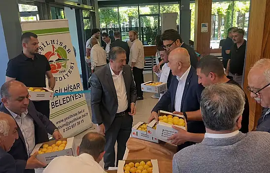 Yeşilhisar kayısısına yoğun ilgi