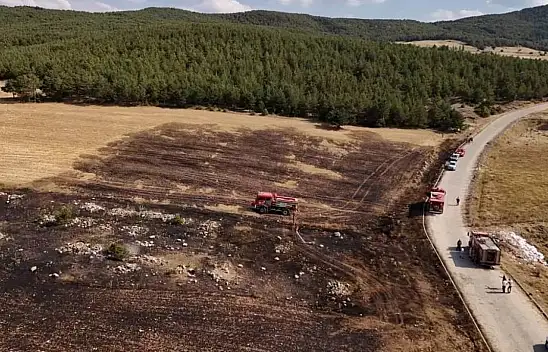 Anız yangını ormana sıçramadan söndürüldü