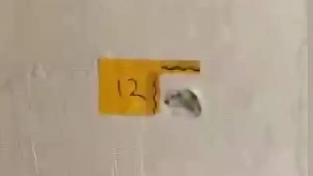 Polis kılığına girip ev kurşunladılar: 2 kişi...