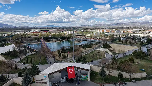 10 yıl sonra yeniden gerçekleşti! Kayseri Hayvanat Bahçesi'nde deve kuşu heyecanı