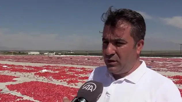 1000 dönüm araziye ektiler! 500 ton ihracat hedefliyorlar...