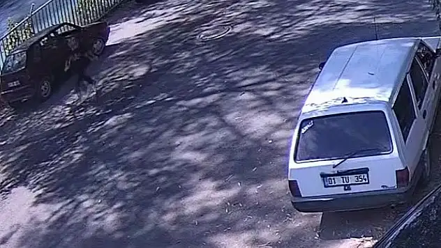 17 yaşındaki liselinin telefonunu çaldı! 'Görünce dayanamadım' dedi