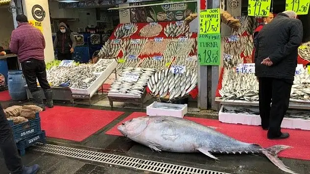 Kayserililer hayrete düştü! İşte nedeni