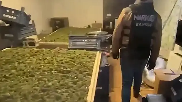 2 bin 920 personel ile çalışıldı! Yüzlerce kilogram ele geçirildi