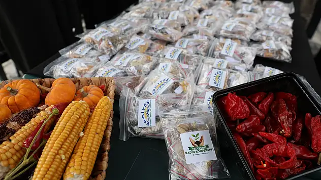 22 bin 500 adet dağıtıldı!