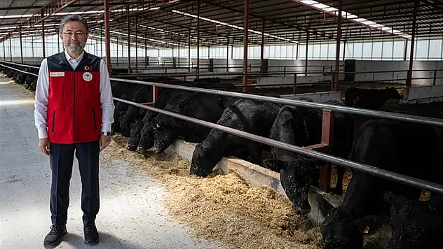 4.351 şanslı belli oldu! Hem hayvan hem para verilecek