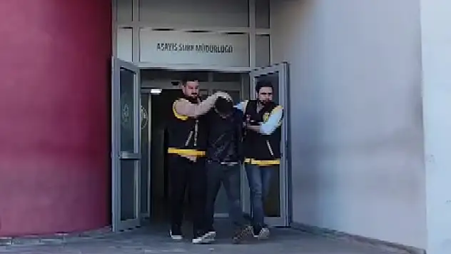 5 aracı çalan hırsızdan pes dedirten açıklama!