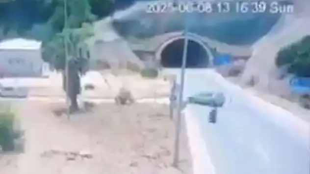 6 kişi hayatını kaybetti!