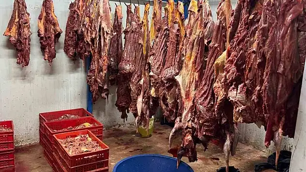 3 ton bozulmuş at eti ele geçirildi