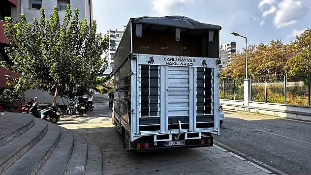 Piyasa değeri tam 30 milyon! Milyonlarca adet ele geçirildi