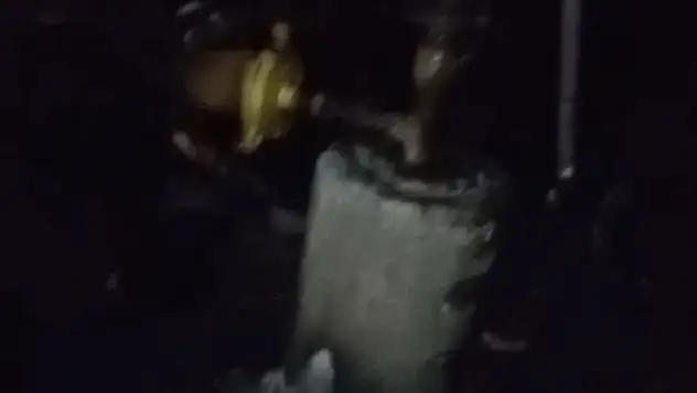 Yangında 40 hayvan telef oldu