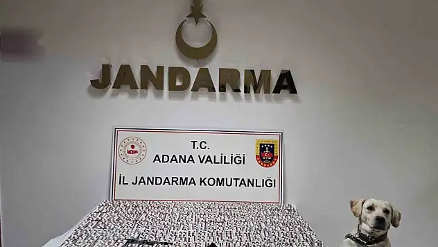 8 bin 523 adet ele geçirildi