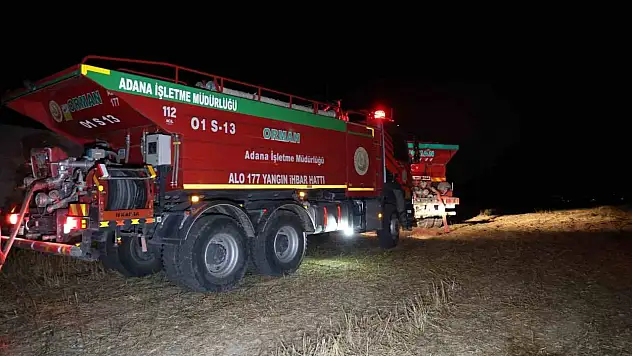 Anız yangını ormana sıçradı