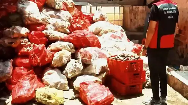 Binlerce kilo paça ele geçirildi