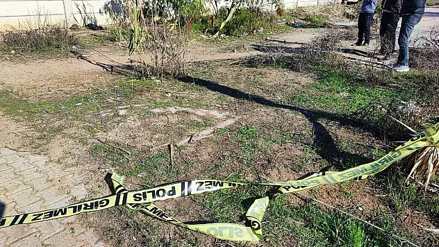 Yol kenarında cansız beden bulundu!