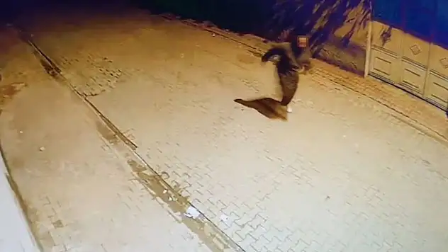 Pencereye taş atarak kırdı!