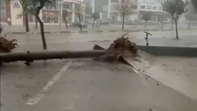 Adana'da fırtına hayatı felç etti!