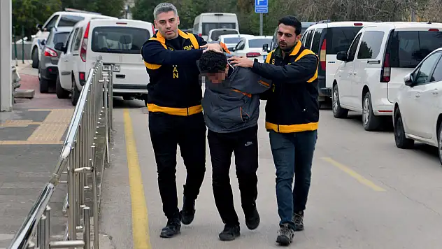 Adana'da kedi ezen sürücüye bakın nasıl bir ceza verildi