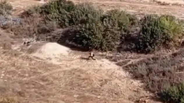 Nefes kesen operasyon! Firari hükümlü bakın nasıl yakalandı?