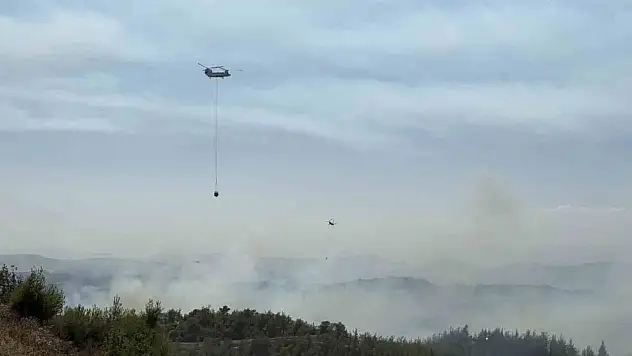 Adana'da orman yangını kontrol altında