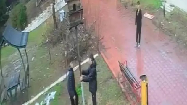 Parkta vicdanları sızlatan görüntü