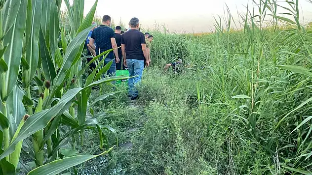 Dere yatağında sazlıklar arasında bir kişi ölü bulundu