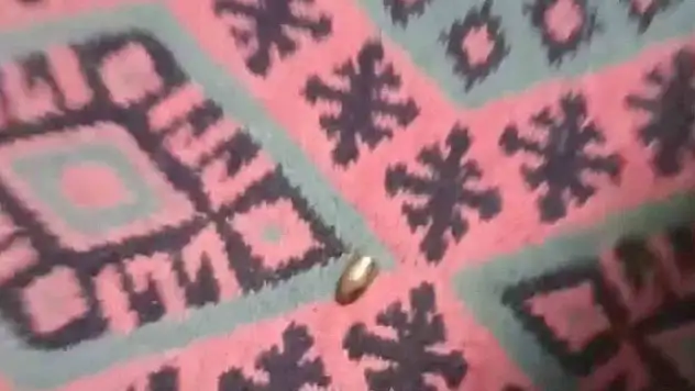 Yorgun mermi, ailenin oturduğu çardağa isabet etti