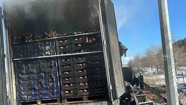 Narenciye yüklü tır alev alev yandı!