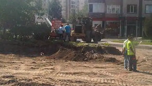 AĞAÇLAR YOL KURBANI