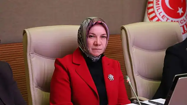 AK Partili vekil neden sessiz?
