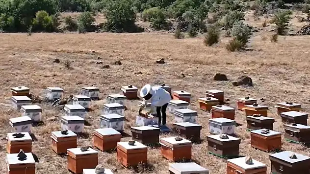 Bakanlıktan aldığı destek ile kendi işinin patronu oldu