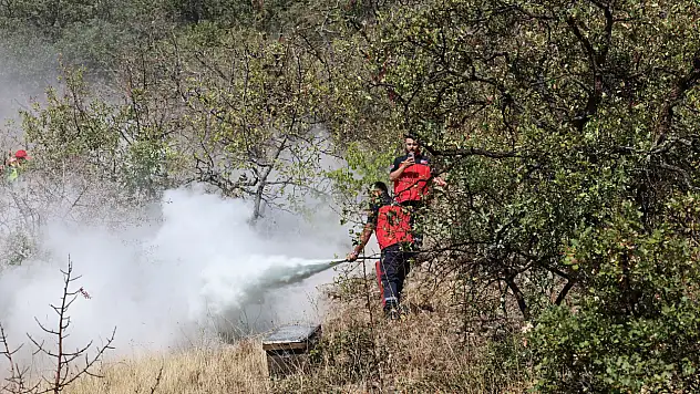 Ali Dağı 'alev kalkanı' ile korunacak
