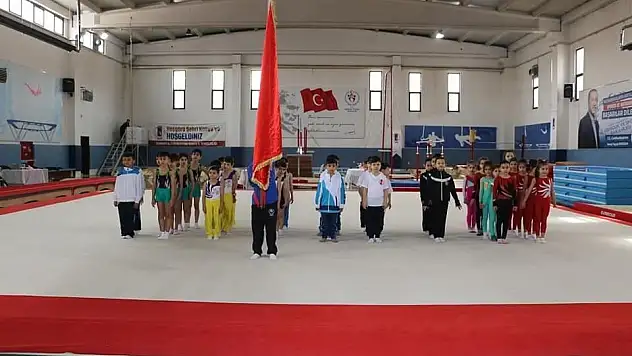 Analig Cimnastik'te Kayseri kız ve erkek takımları yarı finale yükseldi