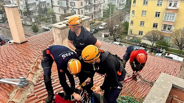 İki çocuk apartman boşluğuna düştü