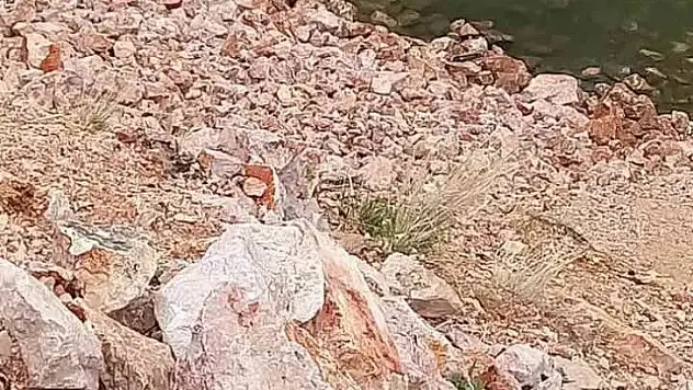 Otomobil dereye uçtu: 4 yaralı
