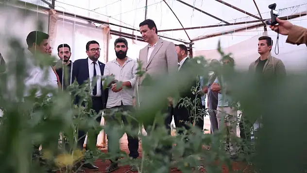Arıkan yerinde inceledi