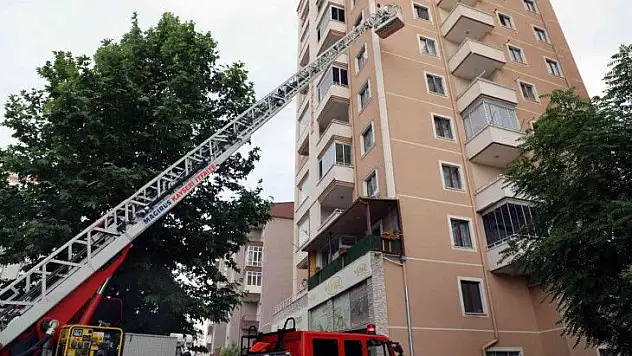 Beyaz masaya gelen arı ihbarı ekipleri harekete geçirdi...