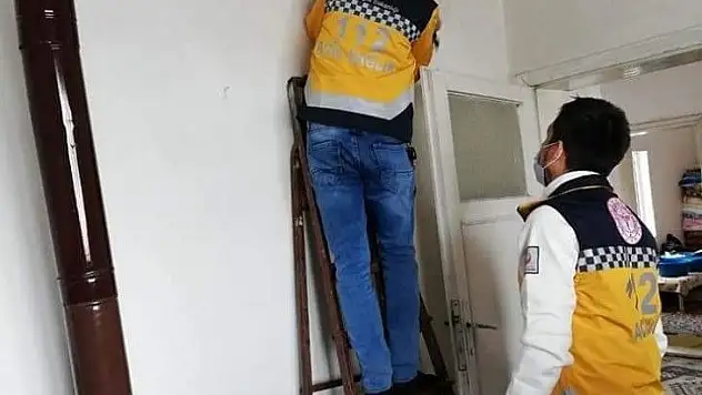 Çok güzel hareketler bunlar