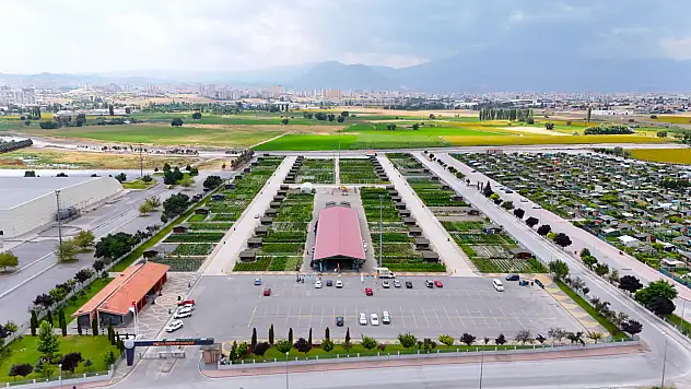 Ata tohumundan doğal ürünlere: Kayseri'de özel pazar