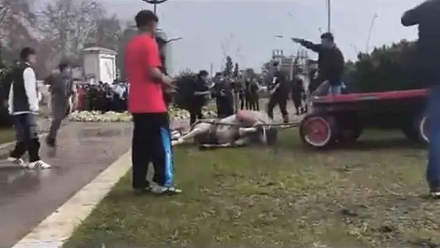 Yürek burkan anlar! Atını döverek bayılttı