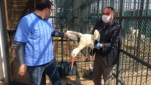 Atmaca, Ebabil ve şimdi de Leylek...