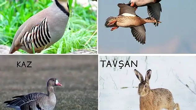 Avcılar yarın için sabırsızlanıyormuş!
