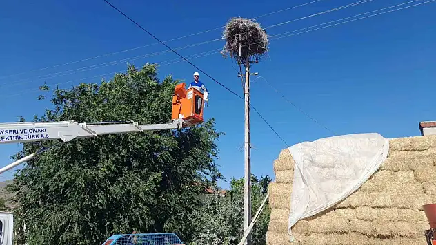Doğa Koruma ve Milli Park Müdürlüğü'nden leylek operasyonu!