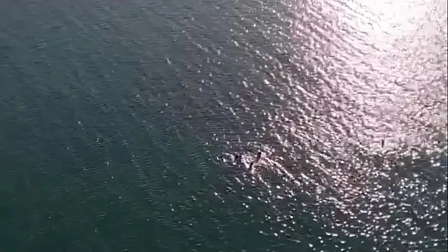 Az kalsın canından oluyordu